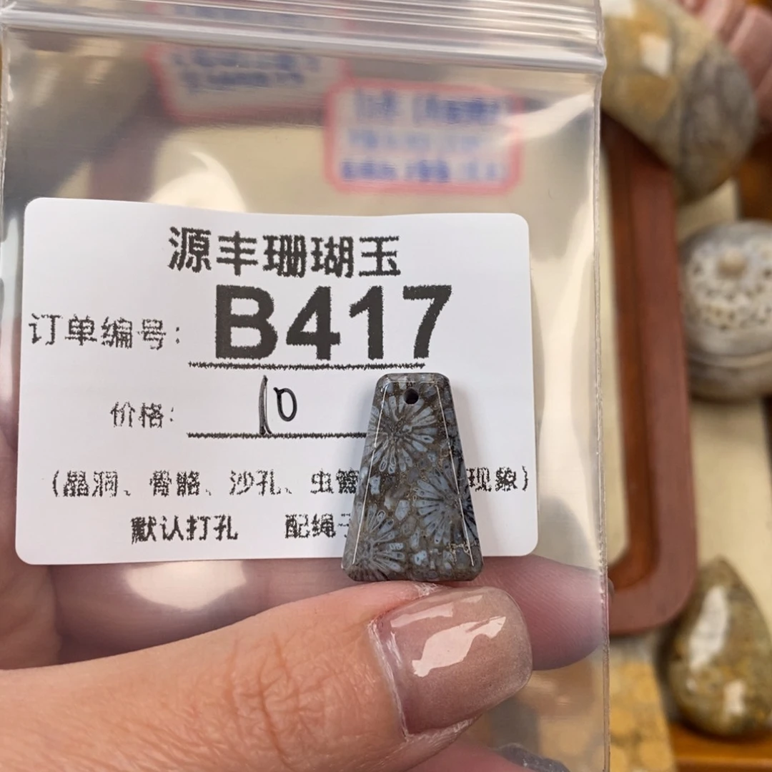 硅化玉颈饰未镶嵌怎