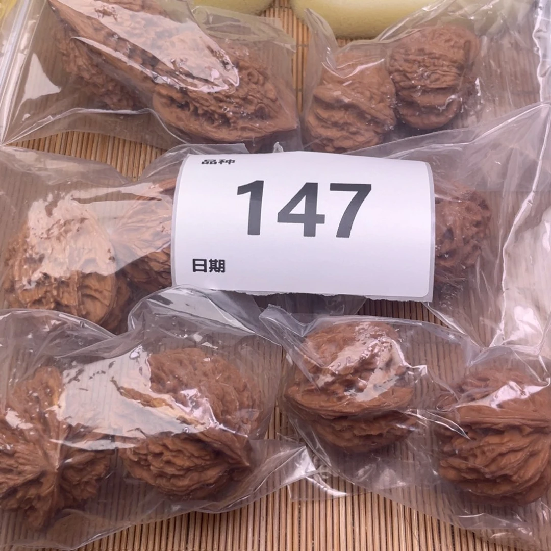 文玩核桃把件147号6对