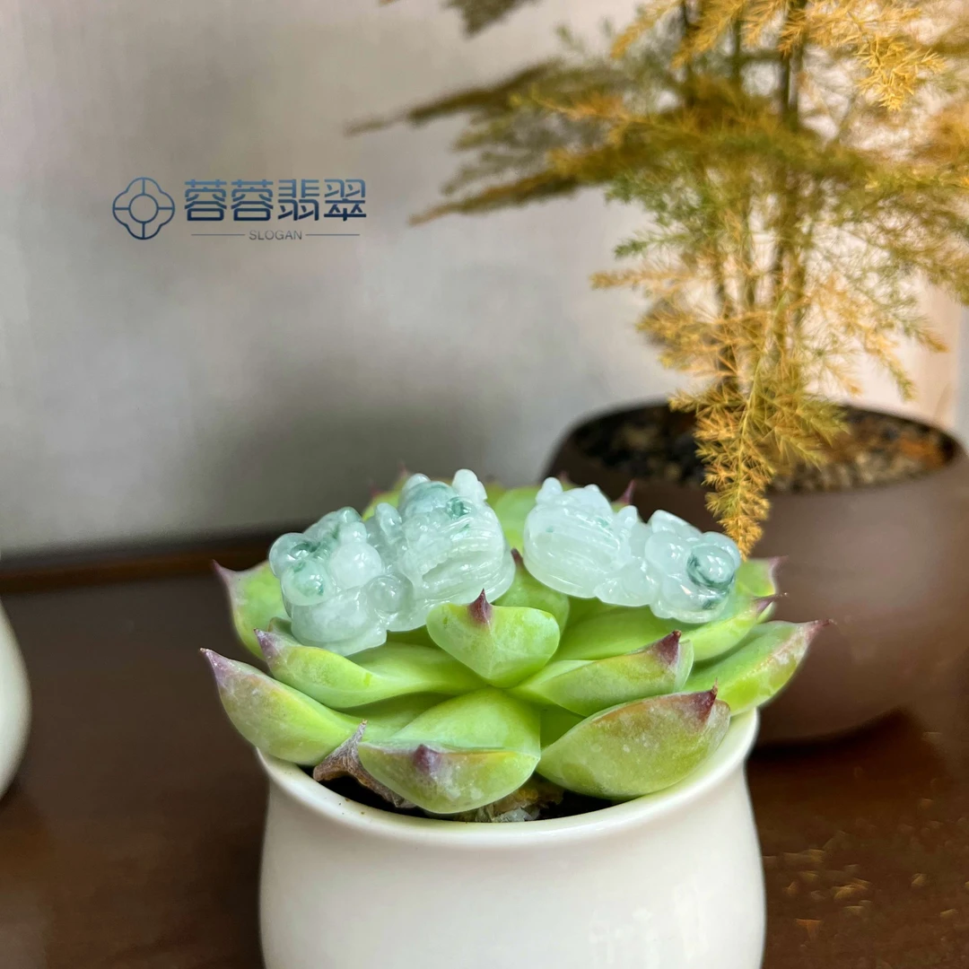 蓉蓉翡翠 缅甸天然A货翡翠飘花霸王貔貅吊坠精雕精美多样性发一
