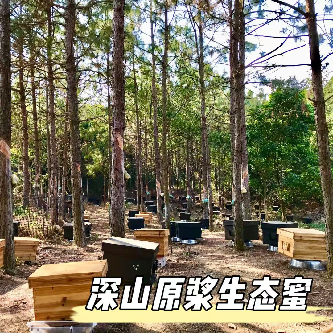 深山原浆生态蜂蜜500克（药食同源）