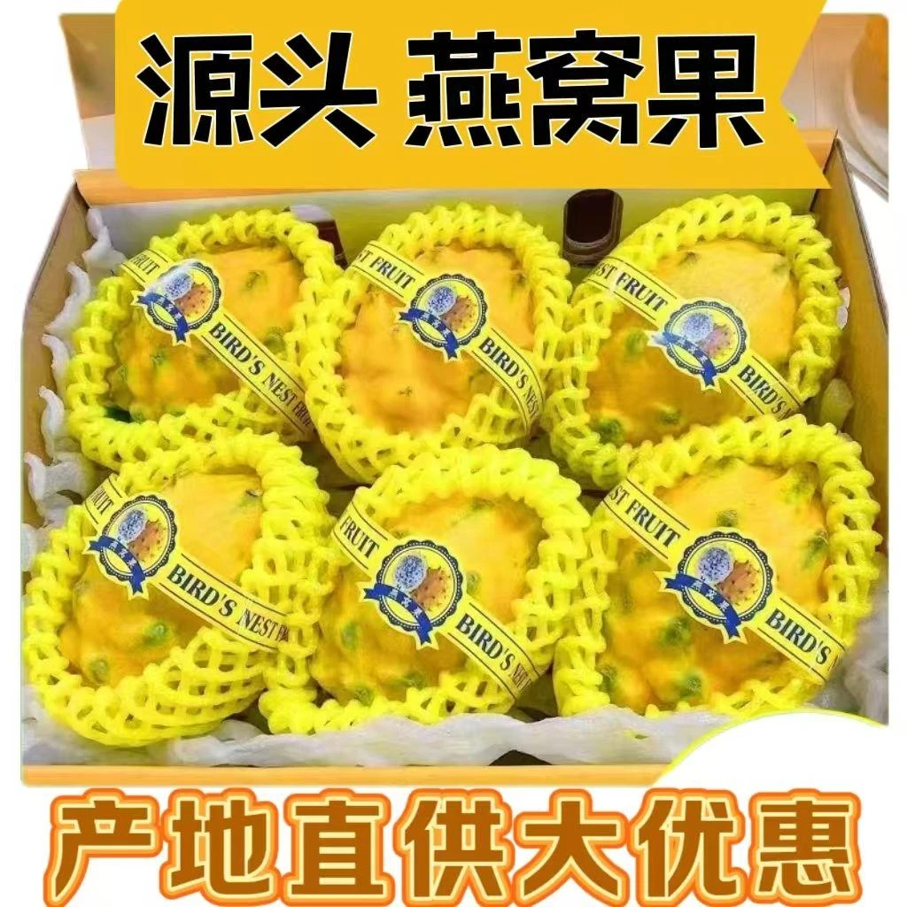 麒麟燕窝果礼盒新鲜爽口孕妇水果香甜热带果海南黄皮火龙果树上熟