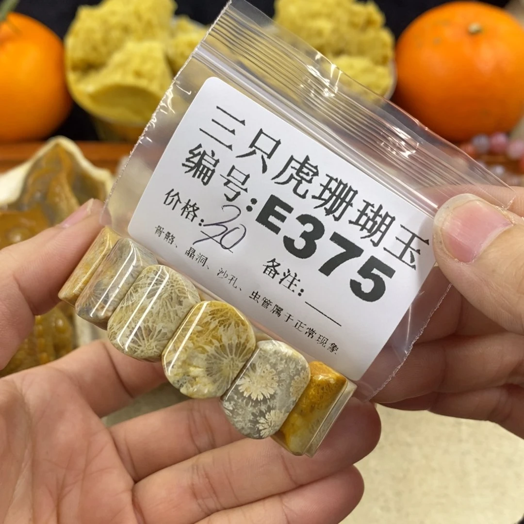 硅化珊瑚（珊瑚玉）1未镶嵌慧