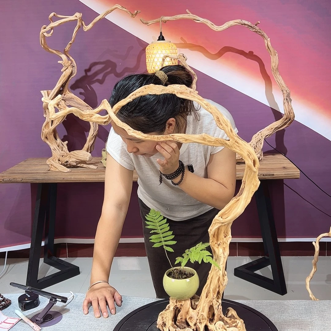 名***时天然杜鹃根根艺摆件