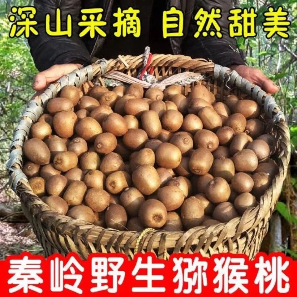 陕西秦岭野生绿心猕猴桃新鲜当季水果沙甜多汁