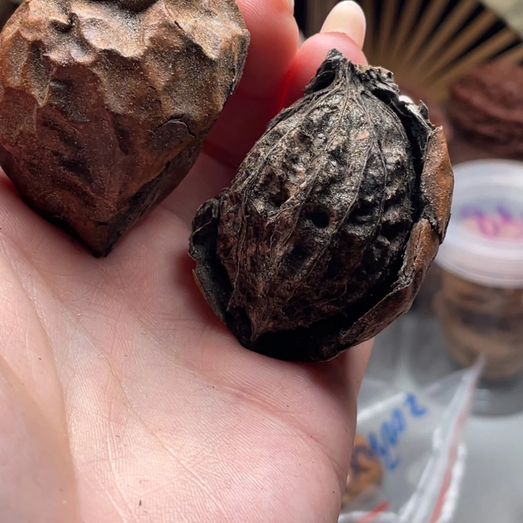 文玩核桃把件楸刀鱼69