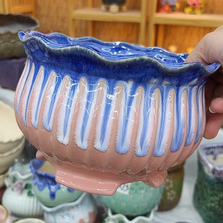 多肉植物陶瓷花盆