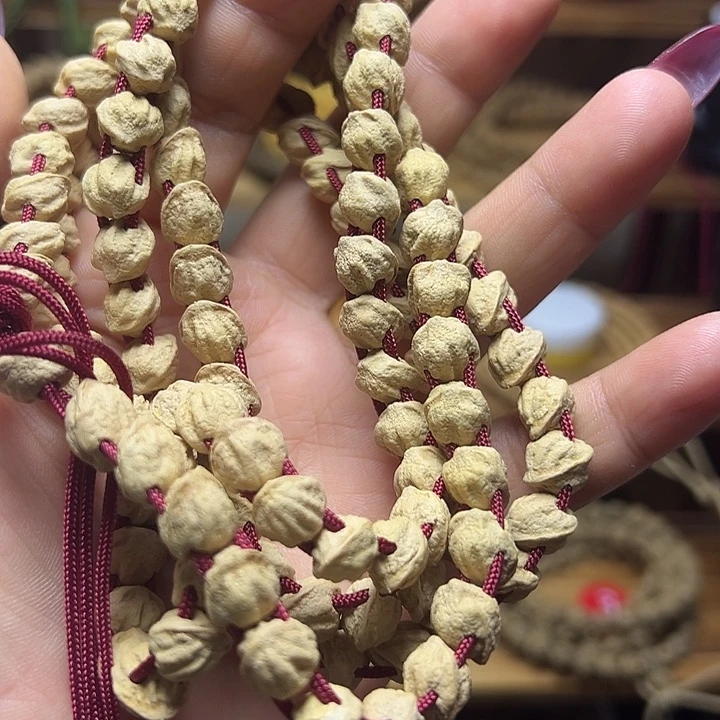 柏香籽/百香籽吊坠双线蛇骨，编号5