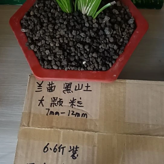 無***相兰菌黑山土大颗粒6.6斤