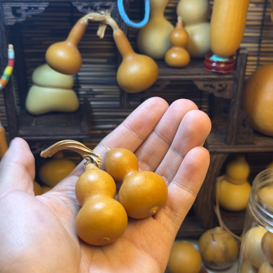 老皮草里金葫芦品种