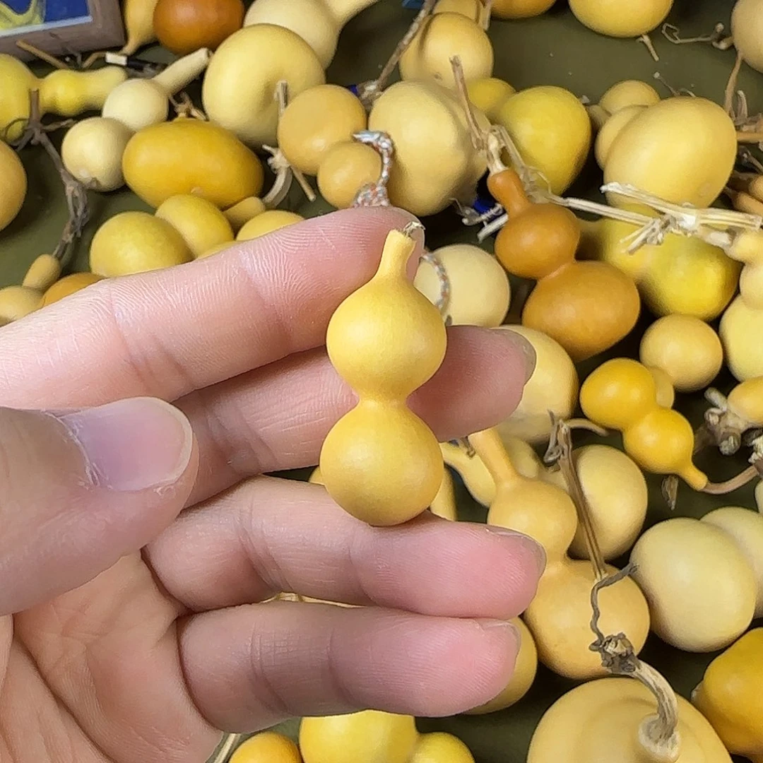 桃**夭shshshshsbsbsnansns