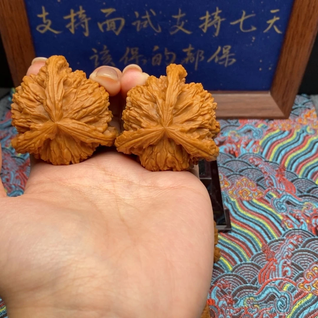 【闪购商品】轩**白狮