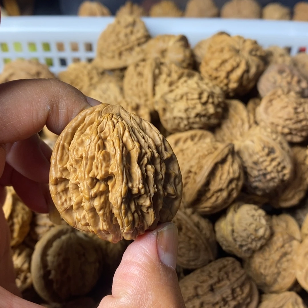 義***陈大叶紫檀（黑酸枝木类）