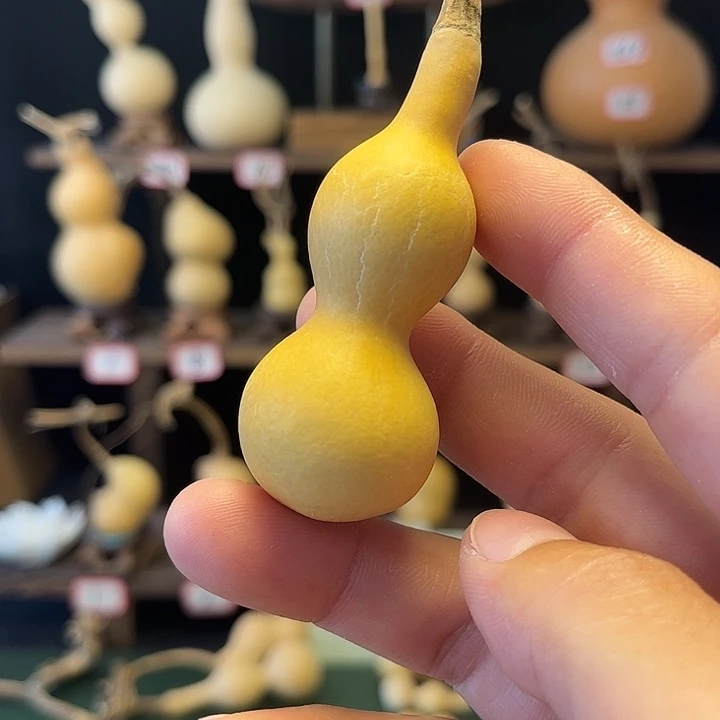 库*灰投影仪哟哦哦哦哦