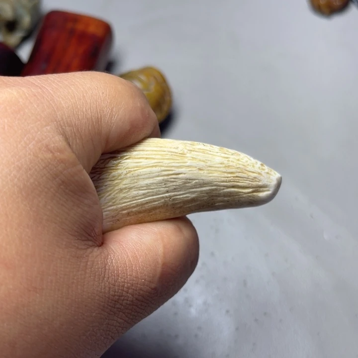 大果紫檀（缅甸花梨）