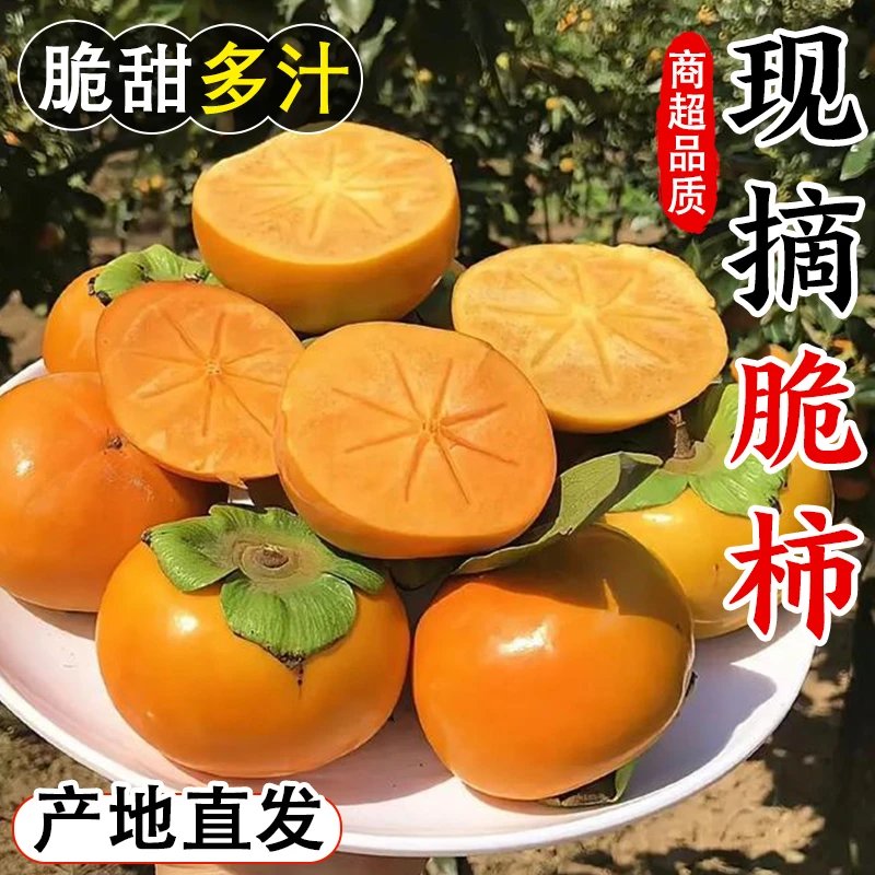 正宗冰糖心脆甜柿子巧克力不涩口广西恭城新鲜水果整箱9斤批发