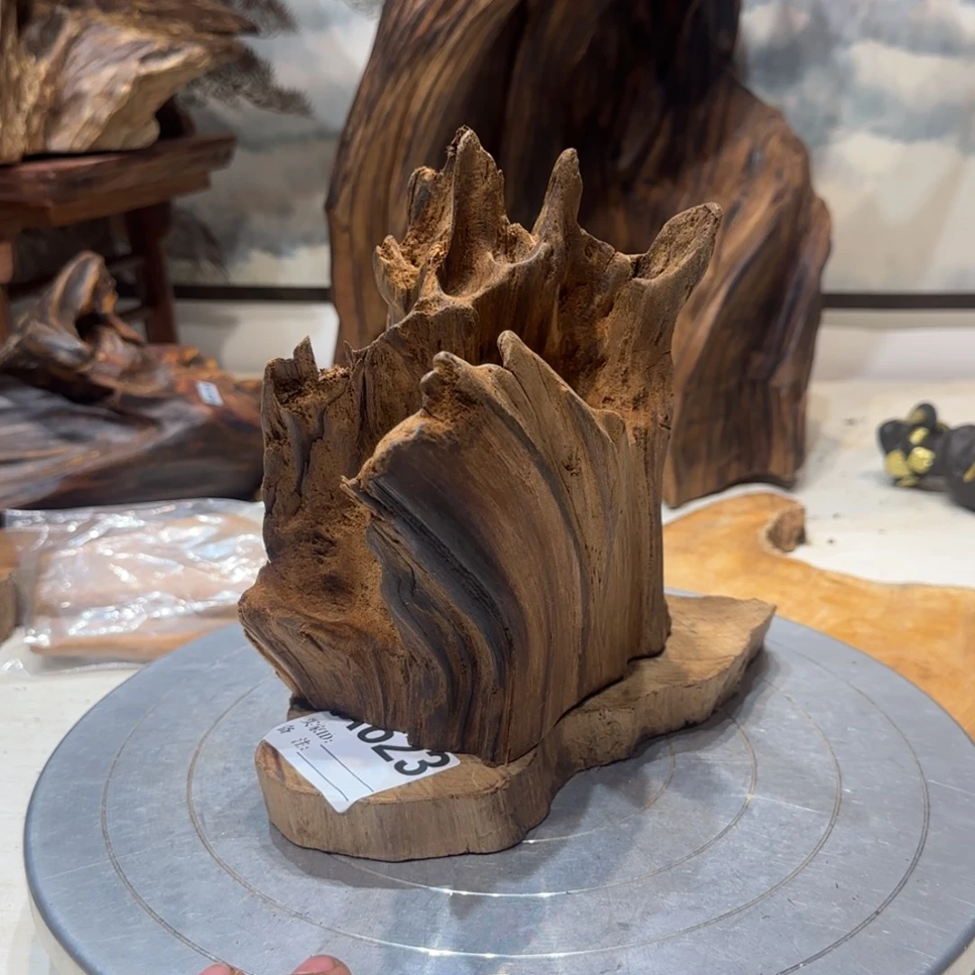 逍***6木哦哦哦哦哦哦哦哦哦哦98