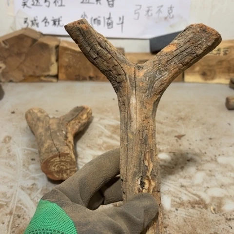 大果紫檀（缅甸花梨）长****学