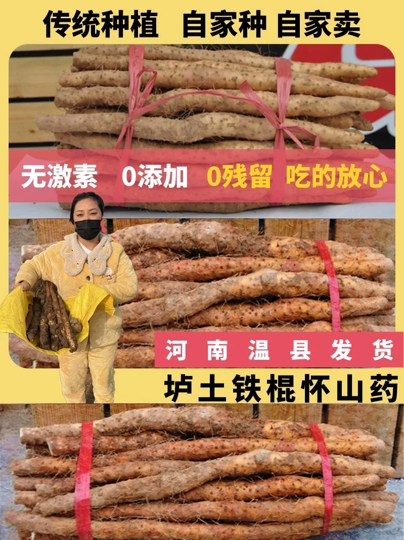铁棍山药正宗河南温县垆土铁棍山药怀山药铁杆淮山药新鲜包邮特产