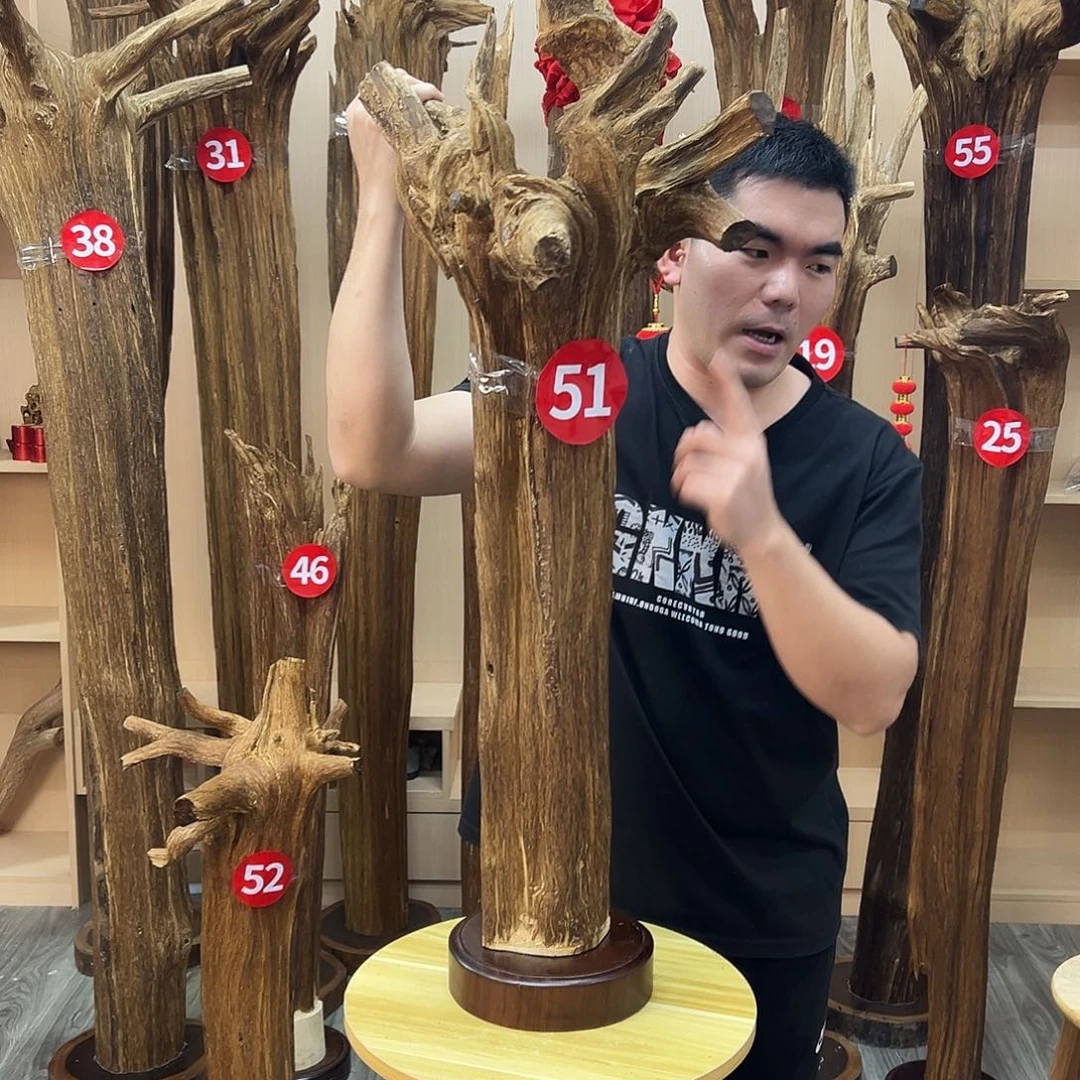 沉香沉香碎屑沉香