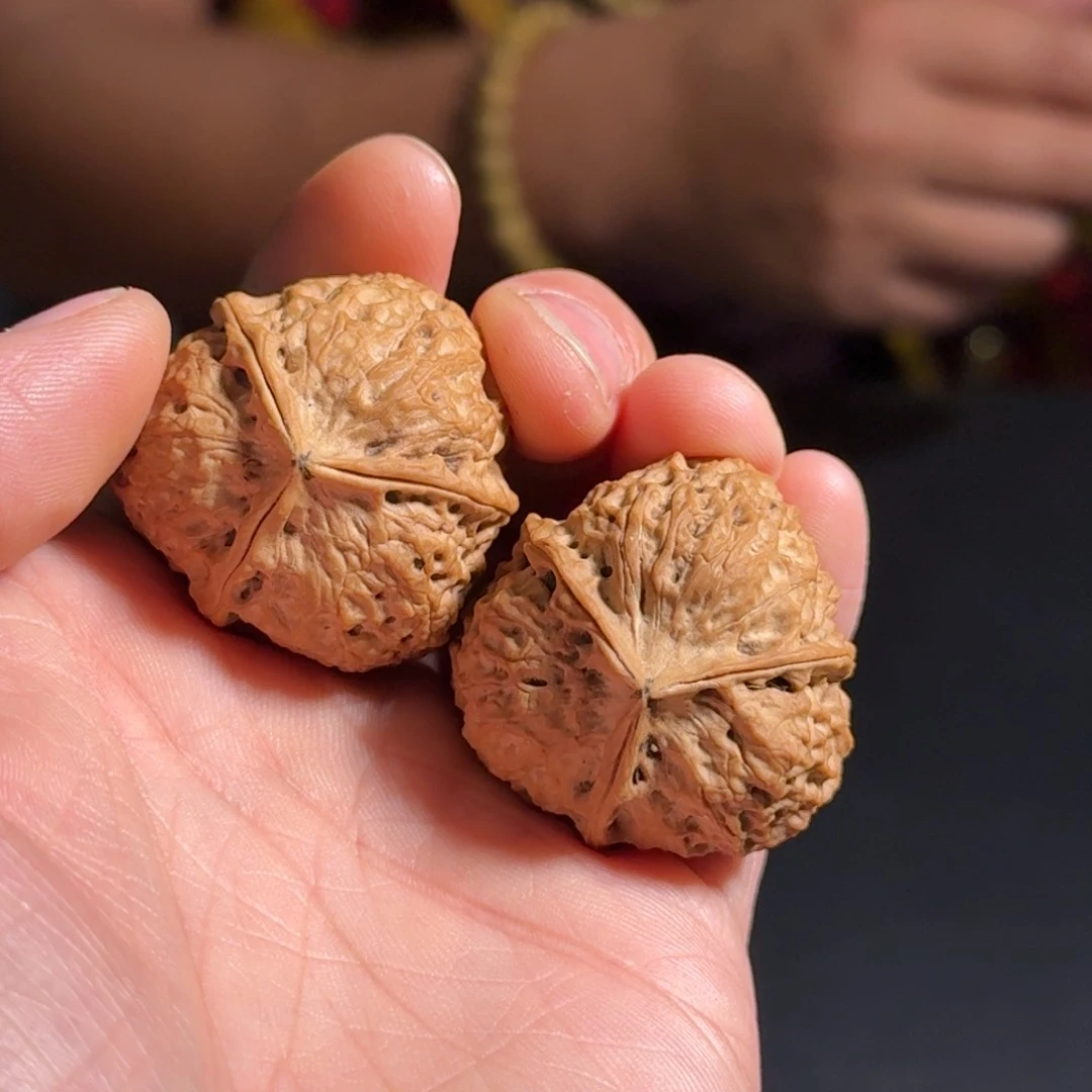 文玩核桃吊坠419号珊瑚三棱