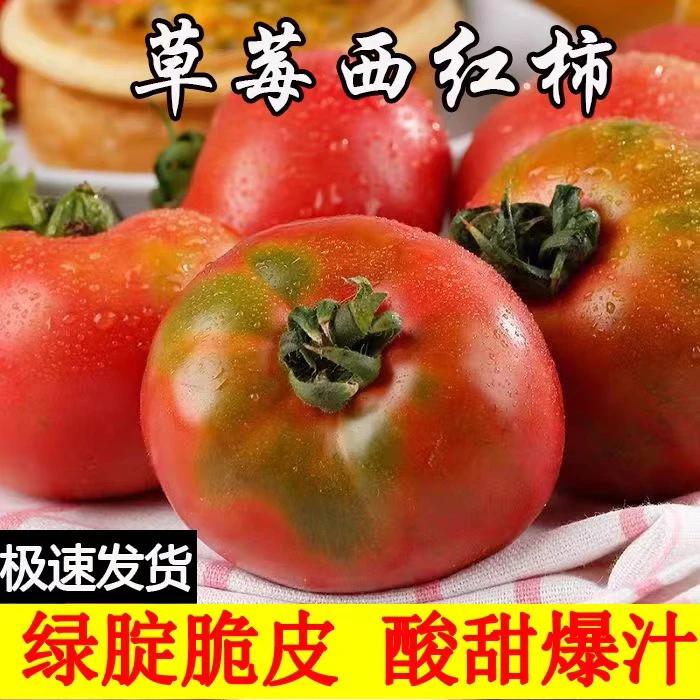 [京东快递]攀枝花露天种铁皮柿子草莓西红柿口感番茄5斤新鲜现摘