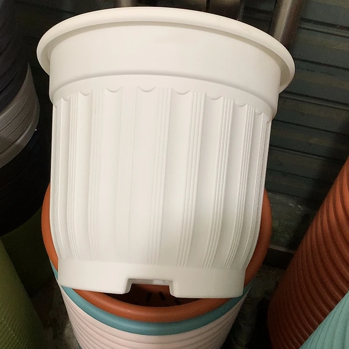 罗马口32高28白3个