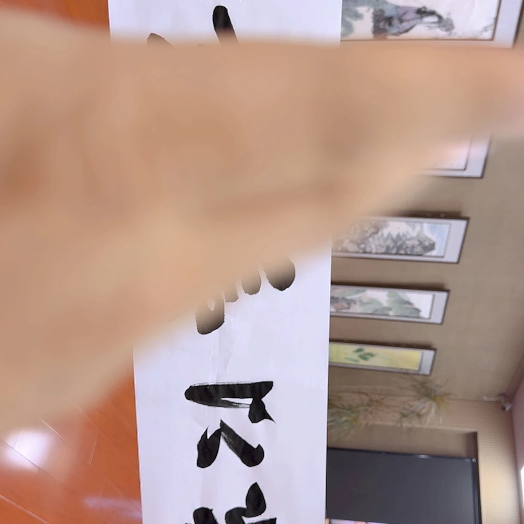 国画我也不知道我为什么要