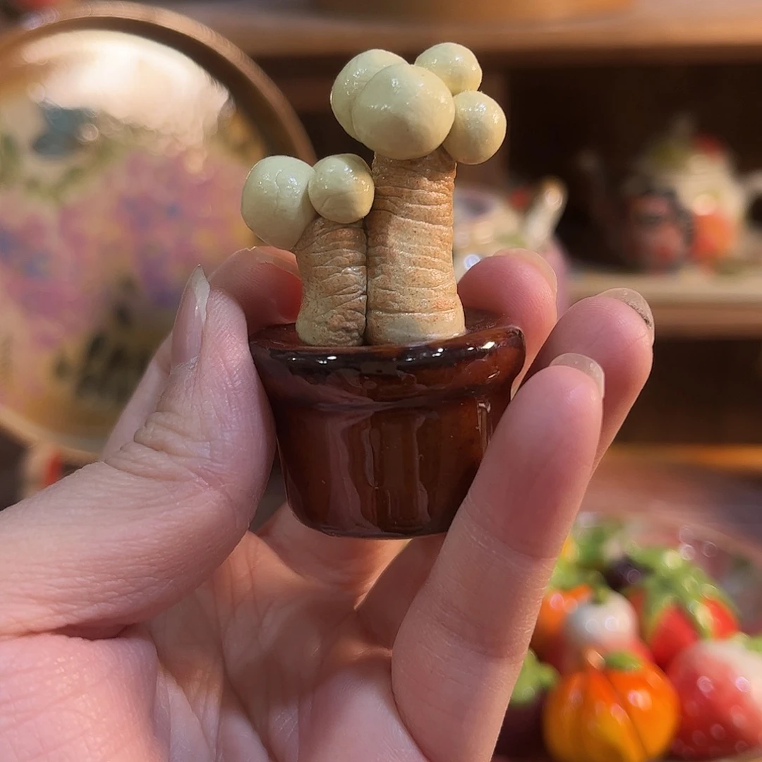 壶红红火火恍恍惚惚哈哈我