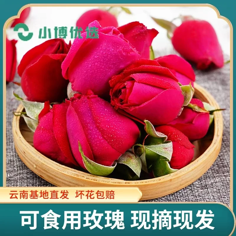 顺丰包邮新鲜云南玫瑰新鲜墨红玫瑰鲜花食用鲜玫瑰花新鲜墨红玫瑰