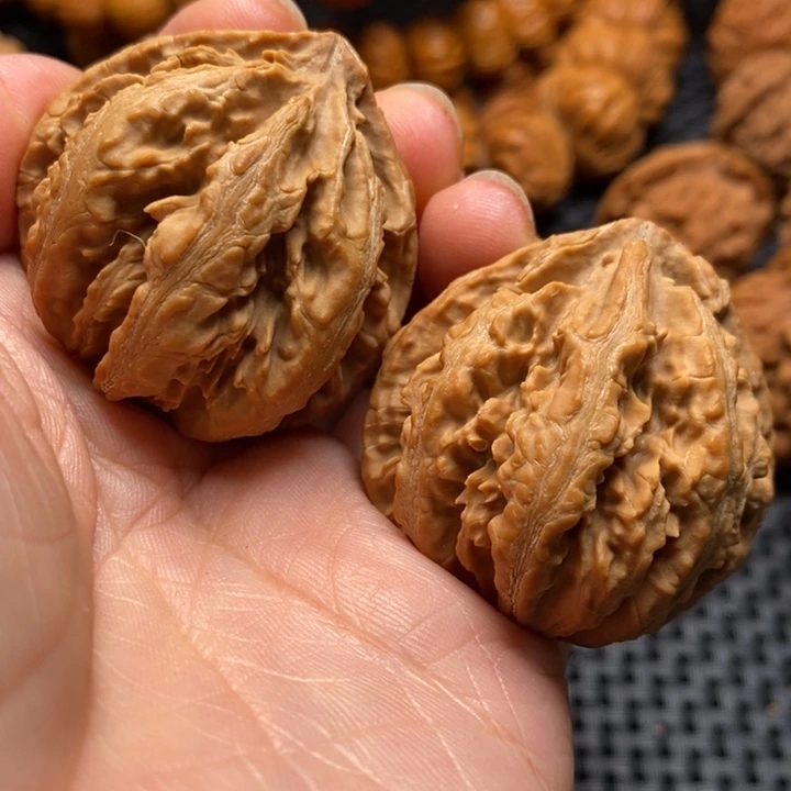 秦岭野生文玩核桃