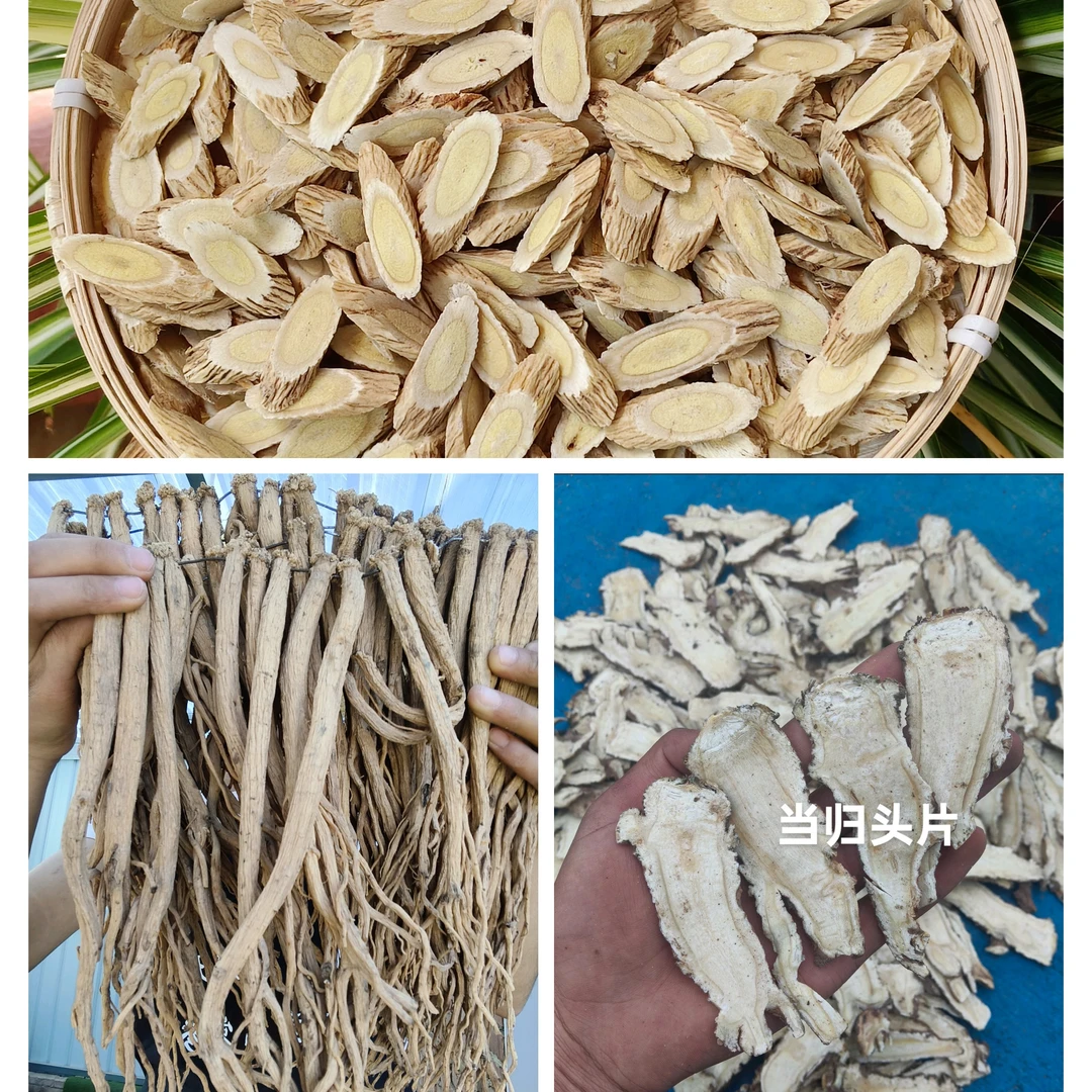 当归头片黄芪党参试用装 各100克