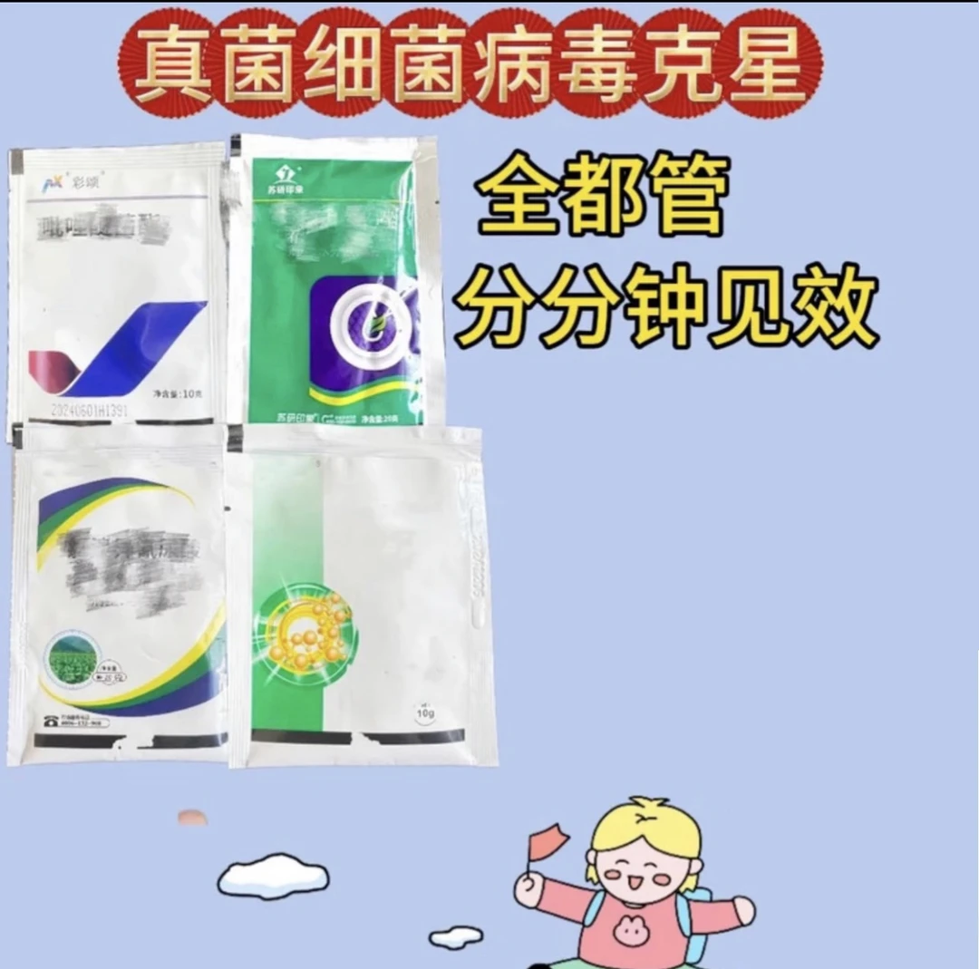田园子推荐4合一真细菌套餐