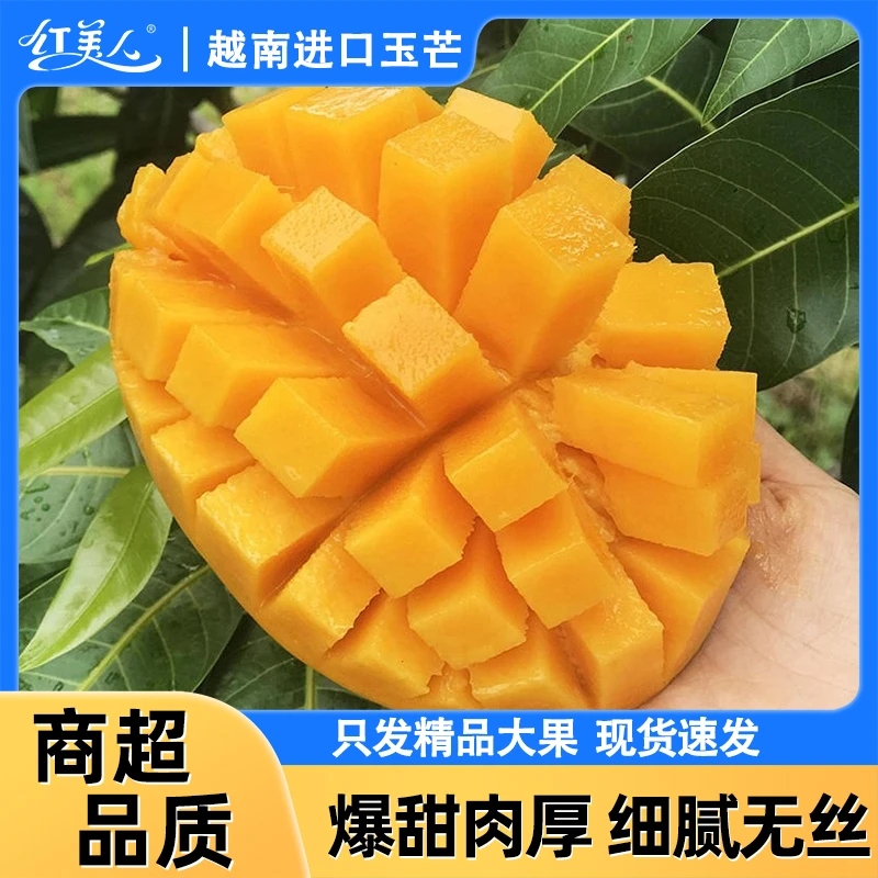 越南玉芒果香甜热带生鲜水果新鲜成熟大芒果多汁精品大果放软食用