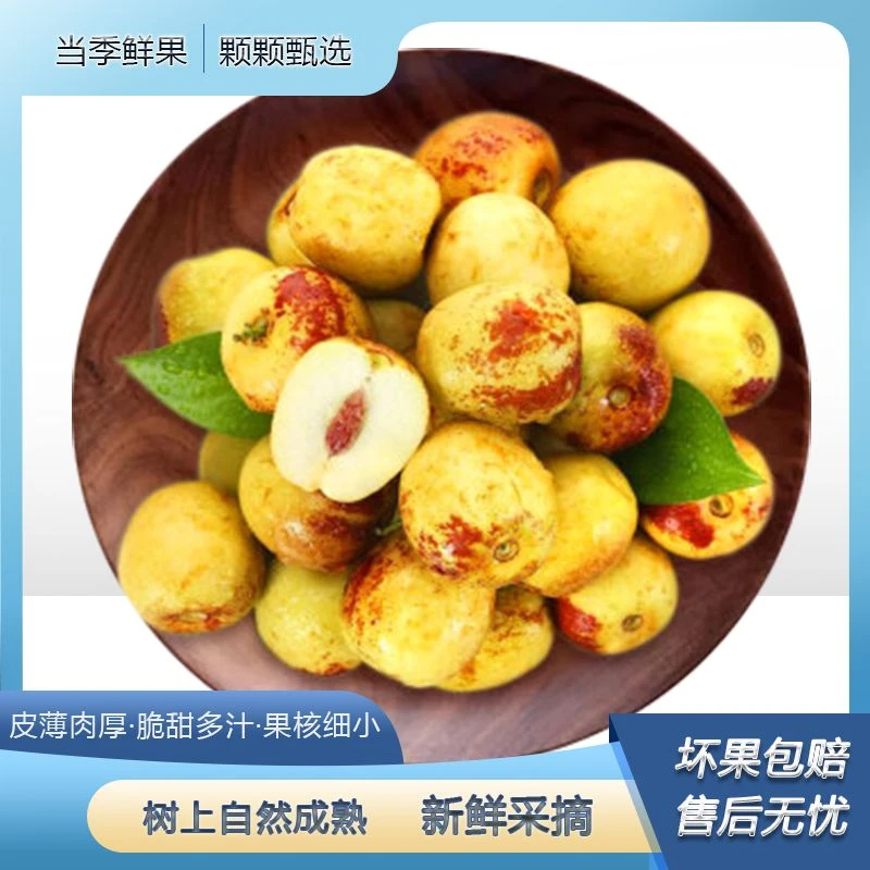 沾化冬枣5斤装产地直发新鲜当季水果脆甜多汁