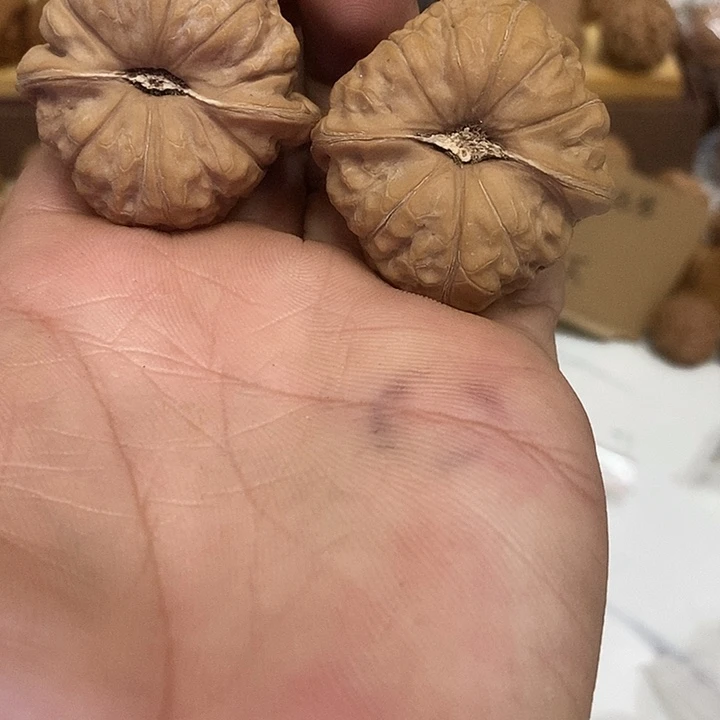 1***秒核桃南瓜全品无修