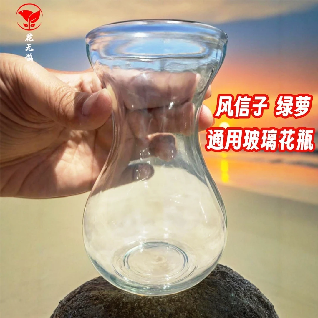 简约玻璃花瓶风信子透明花瓶办公室桌面水培绿萝器皿客厅装饰摆件