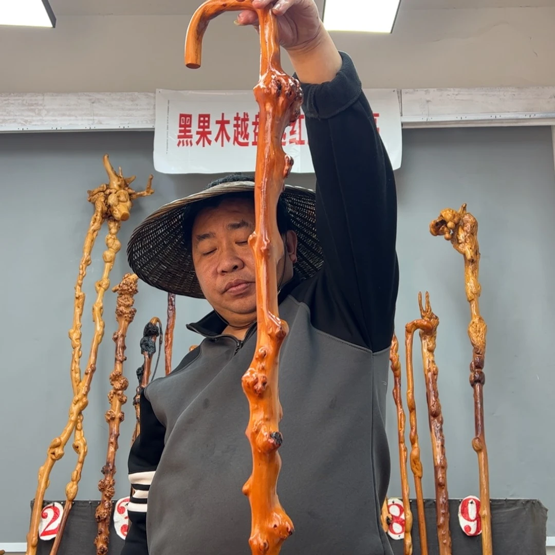 黑果木其他老*黑果木664