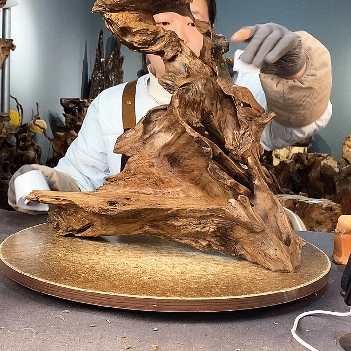 茶盏西*970株木的随行的根艺