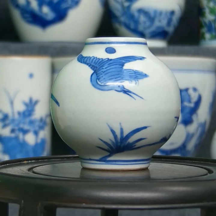 中***龙水鱼完整无缺的一个