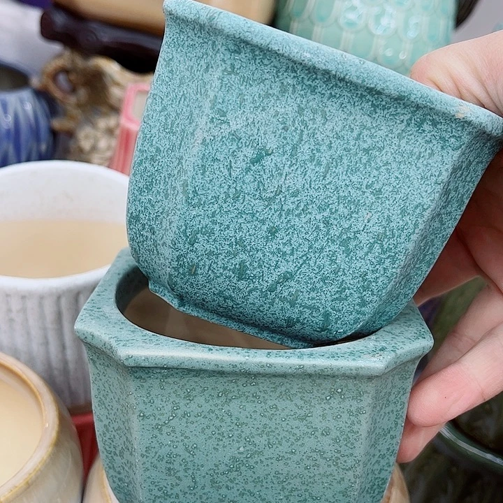 多肉植物陶瓷花盆