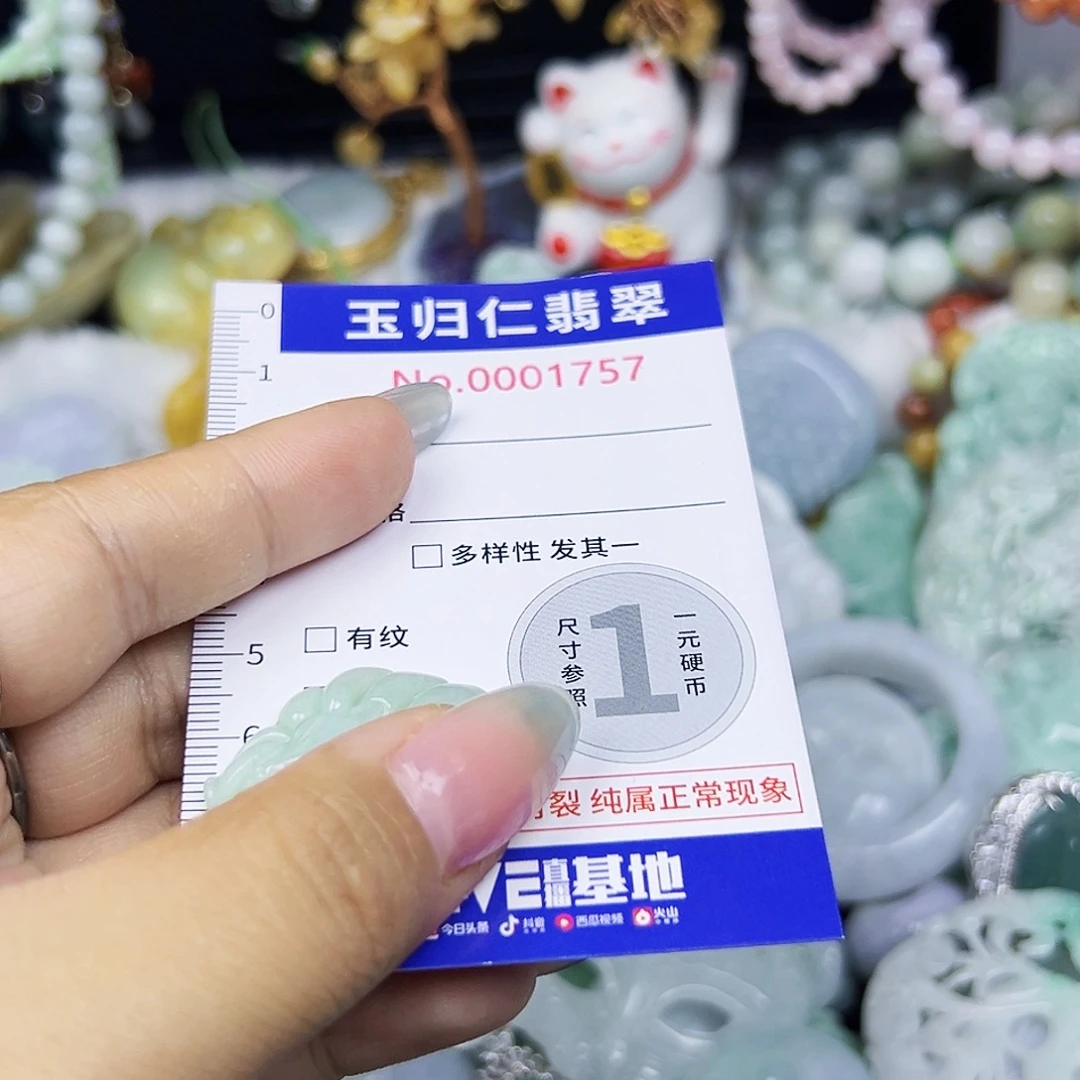 翡翠未镶嵌颈饰11