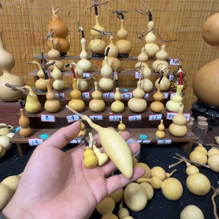 陆***葫芦葫芦真的好可爱65.8