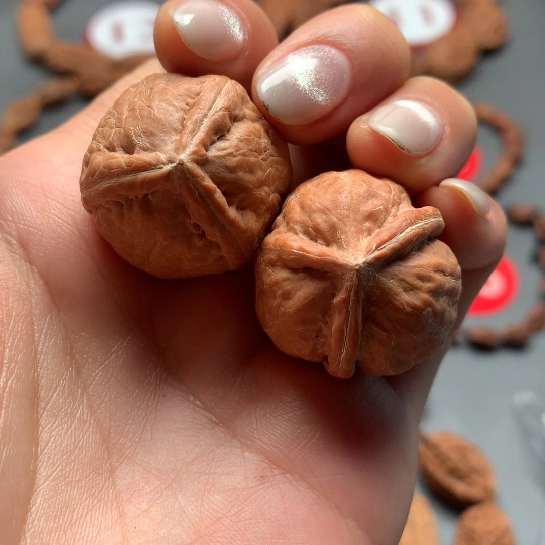 核桃99东北秋子三棱