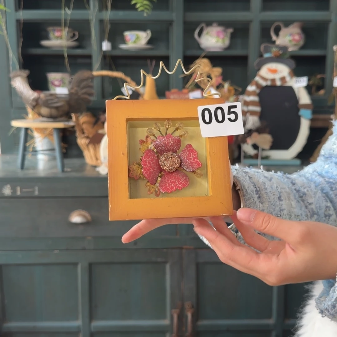 圣诞福利月老货玩具默认微瑕损米