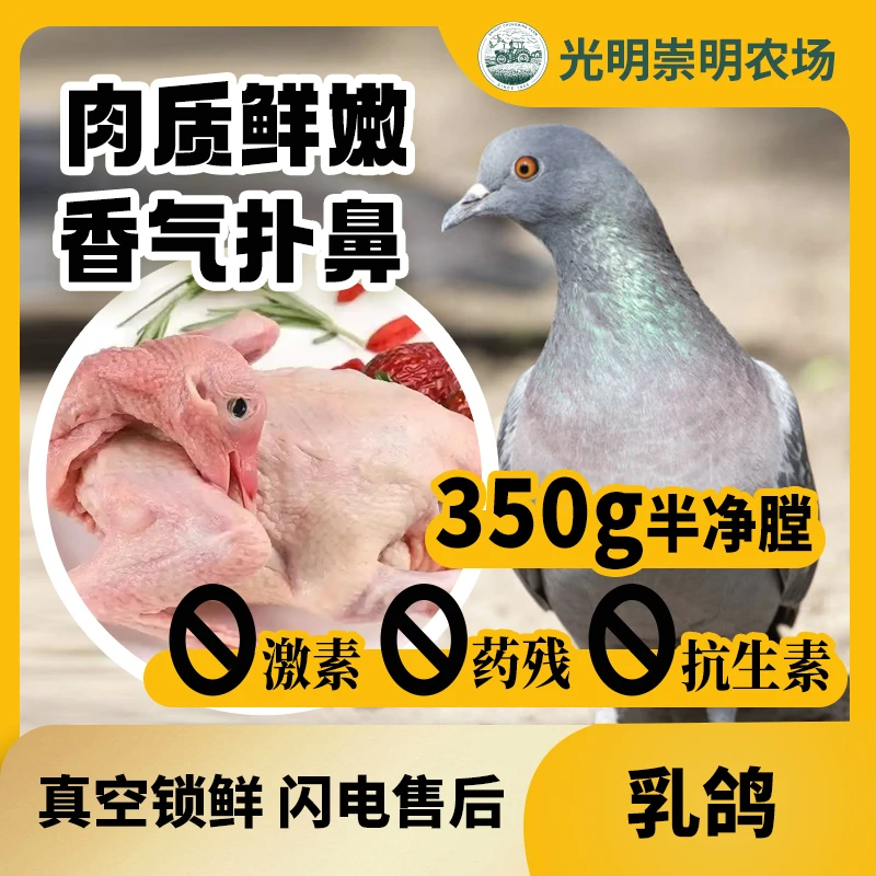 [顺丰到家]光明崇明农场大瀛食品正宗乳鸽冷冻保存