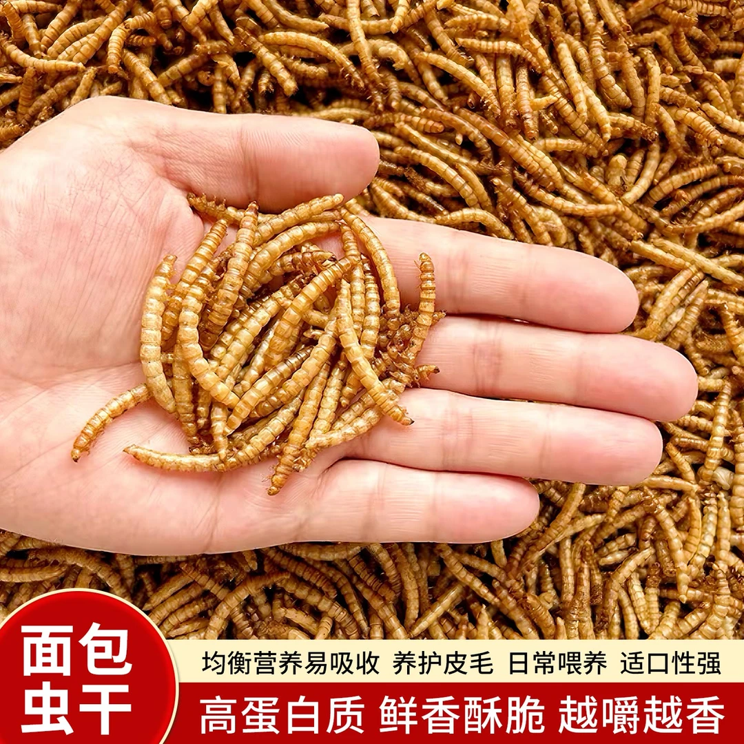 仓鼠零食面包虫干仓鼠粮食海鲜粮金丝熊粮食刺猬鱼鸟乌龟饲料食物