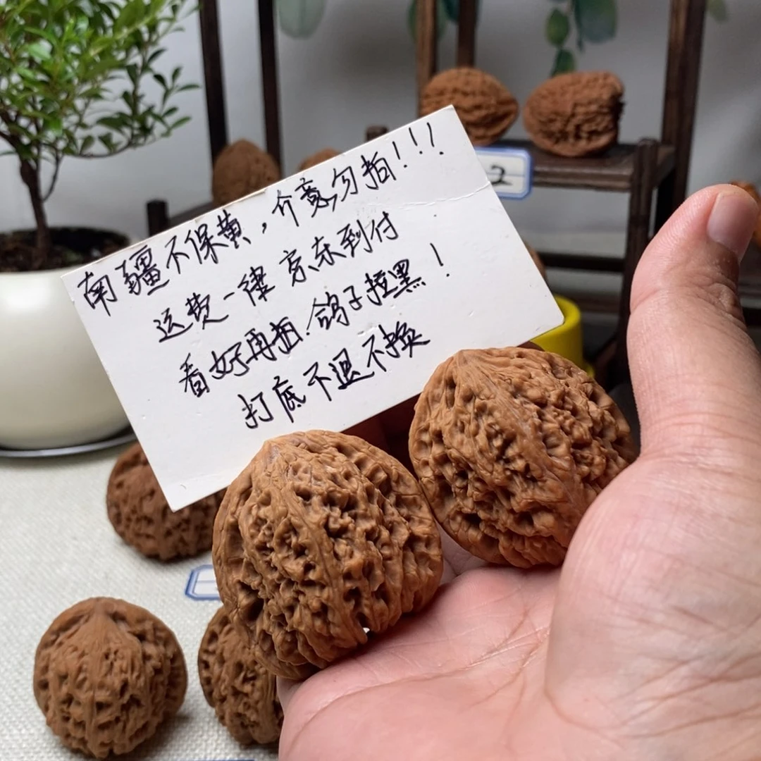 文玩核桃把件Z*T对歪大克重