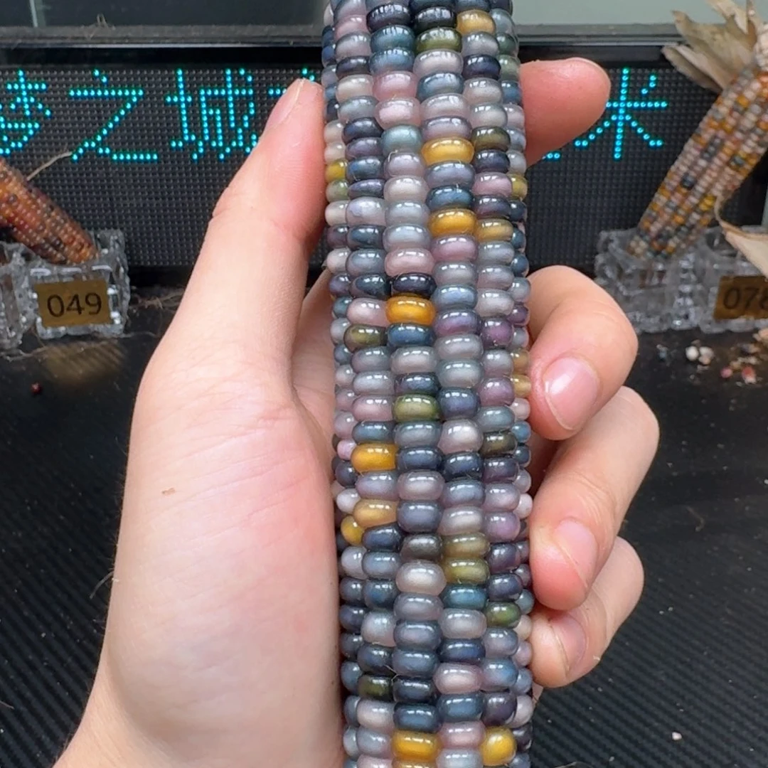 柏香籽/百香籽吊坠ʚ**ɞ