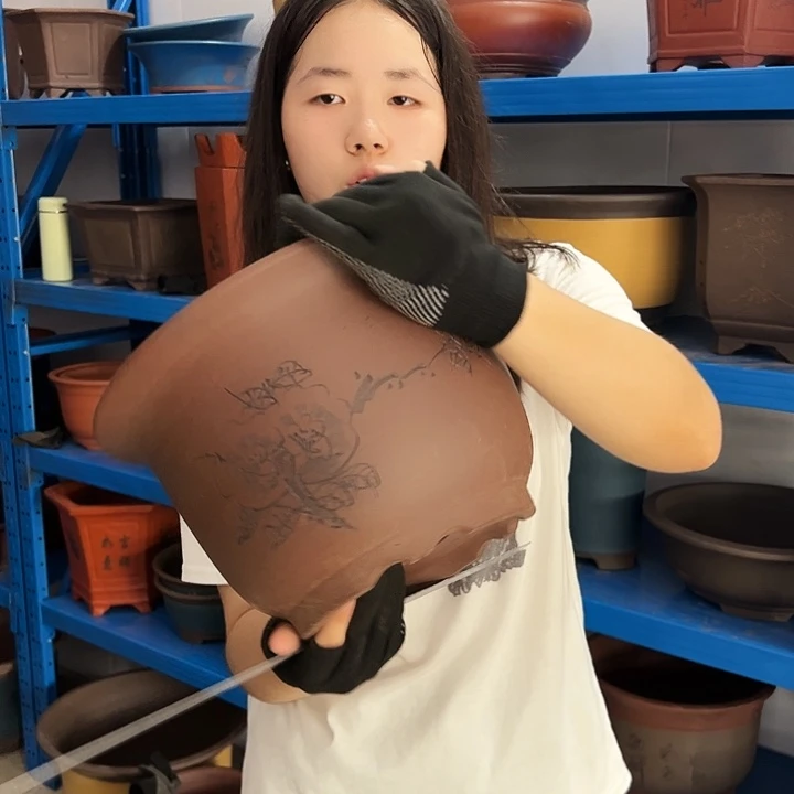 30平角金钟花盆花盆