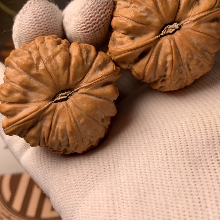 小***学南瓜6元两袋小包小